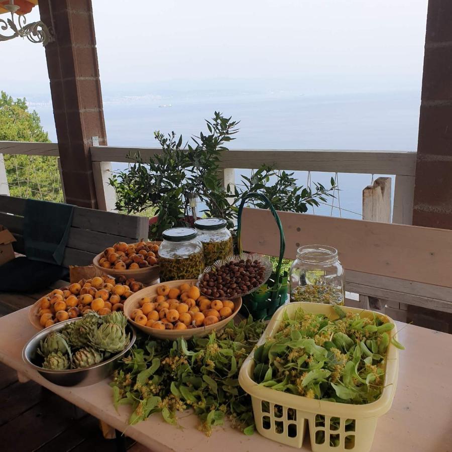 Tulisevica Mary'S Garden 빌라 외부 사진