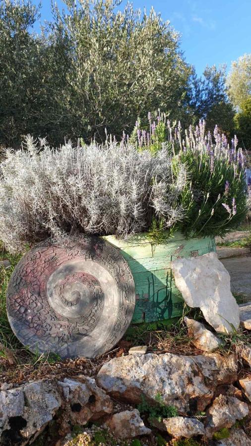 Tulisevica Mary'S Garden 빌라 외부 사진