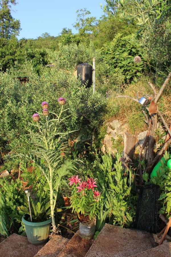 Tulisevica Mary'S Garden 빌라 외부 사진