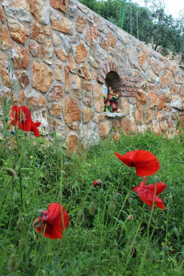Tulisevica Mary'S Garden 빌라 외부 사진