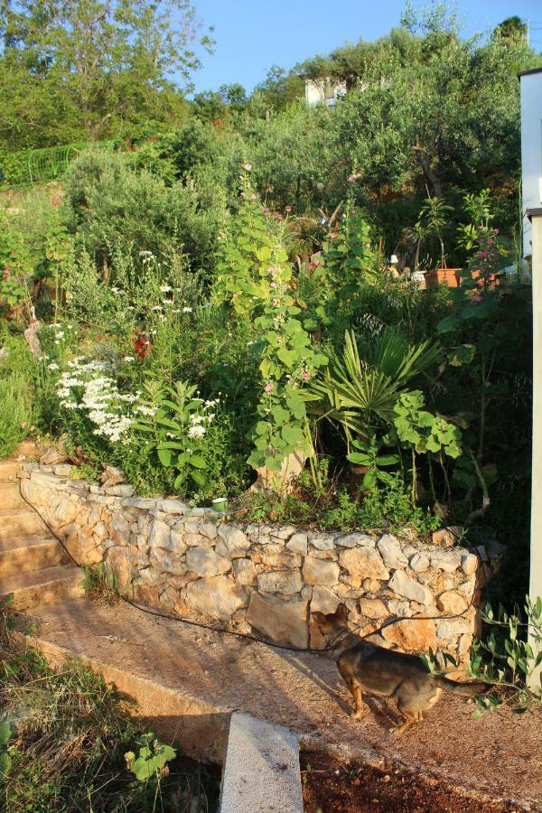Tulisevica Mary'S Garden 빌라 외부 사진